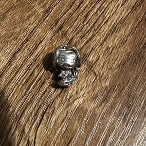 Disney Tangled Rapunzel Charm